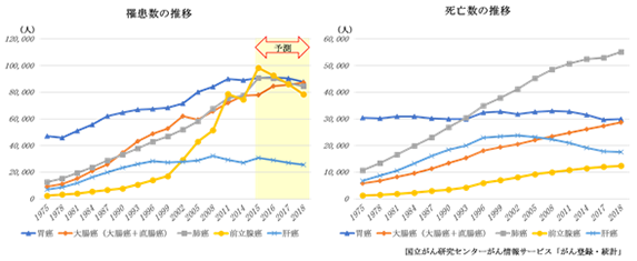 ウルドゥー語で勃起不全の意味は何ですか